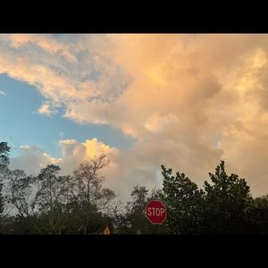 Meet your Posher, Bless